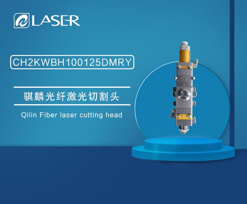 QiLin CH2KWBH100125DMRY Fiber Lazer Kesim Kafası